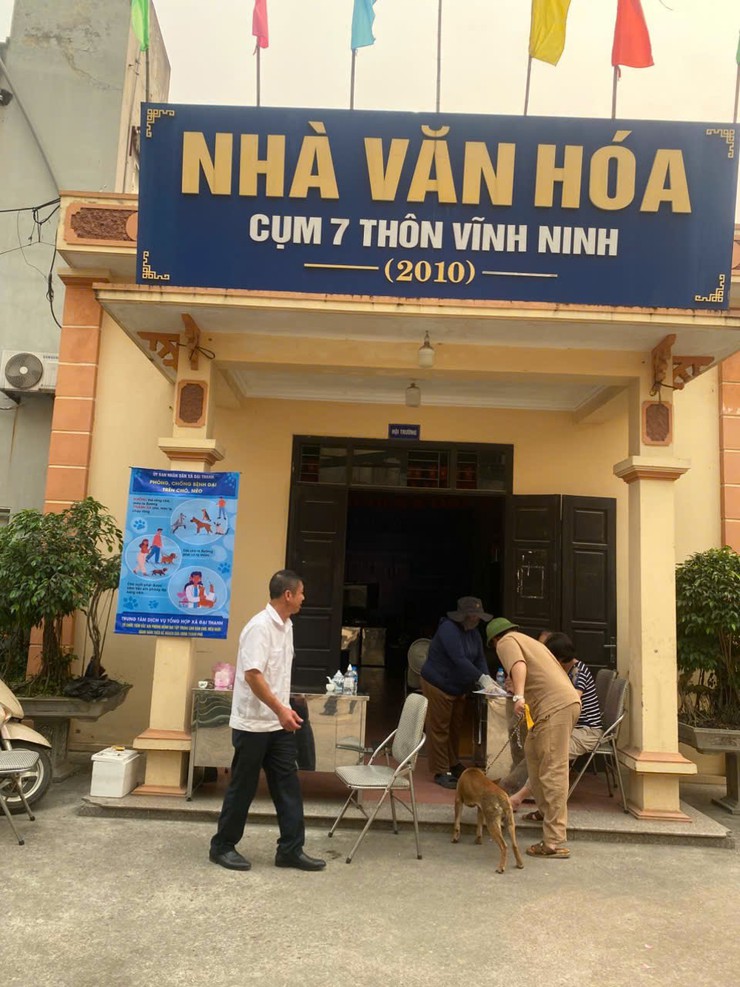 Trung tâm dịch vụ tổng hợp xã Đại Thanh triển khai tiêm phòng cho đàn chó mèo tại các thôn- Ảnh 4.