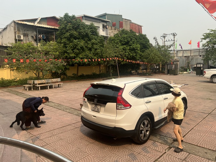 Trung tâm dịch vụ tổng hợp xã Đại Thanh triển khai tiêm phòng cho đàn chó mèo tại các thôn- Ảnh 6.