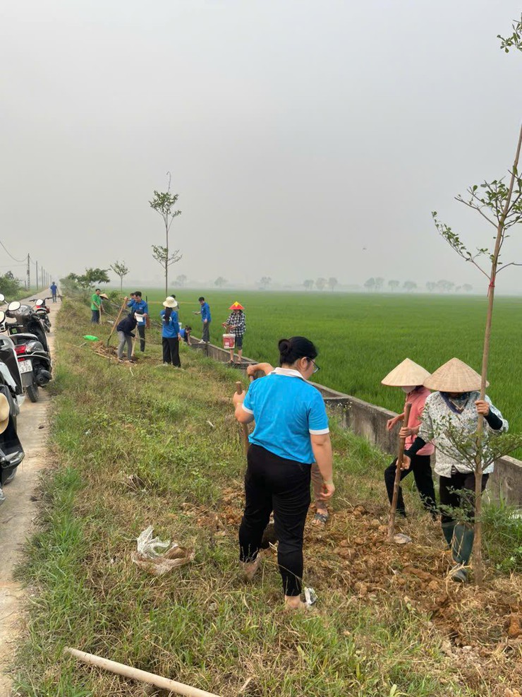 Công trình Hàng cây xanh – Dấu ấn thiết thực trong xây dựng NTM nâng cao.- Ảnh 2.