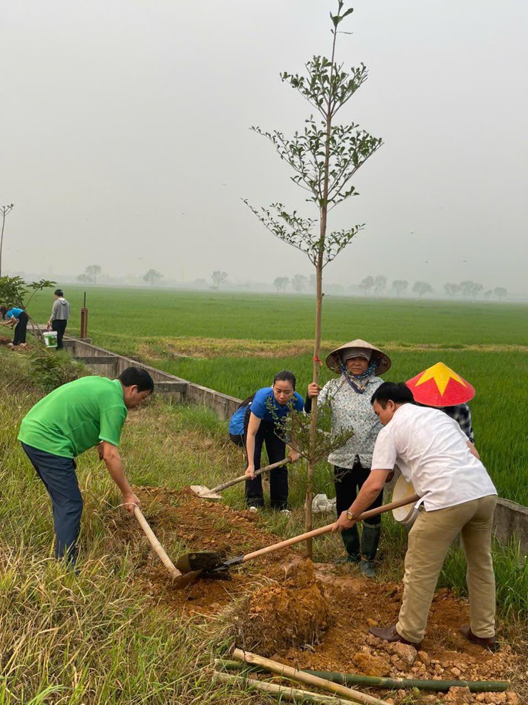 Công trình Hàng cây xanh – Dấu ấn thiết thực trong xây dựng NTM nâng cao.- Ảnh 3.