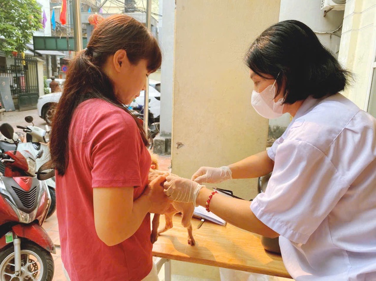 Phường Thanh Liệt: Hoàn thành chi tiêu tiêm phòng dại cho chó, mèo đợt 1/2026- Ảnh 3.