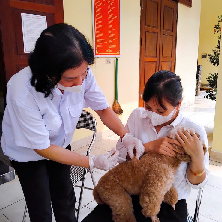 Phường Thanh Liệt: Hoàn thành chi tiêu tiêm phòng dại cho chó, mèo đợt 1/2026- Ảnh 1.