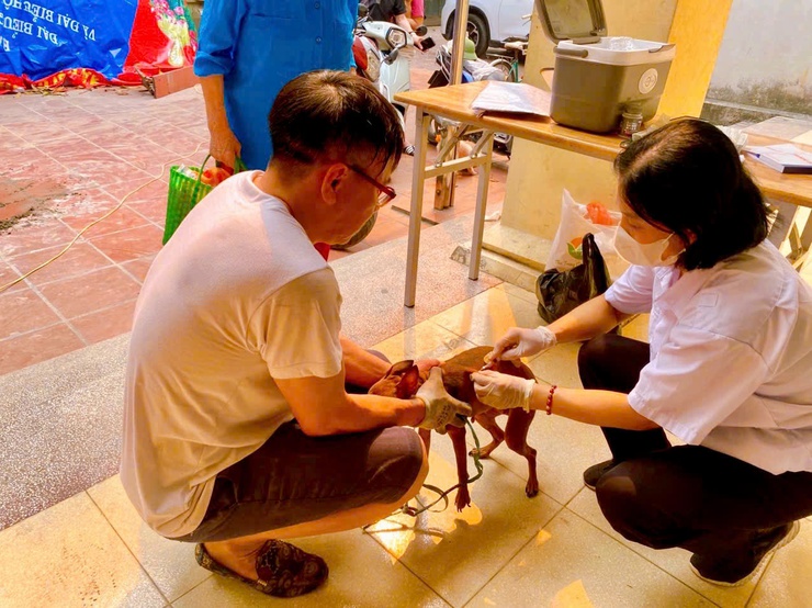 Phường Thanh Liệt: Hoàn thành chi tiêu tiêm phòng dại cho chó, mèo đợt 1/2026- Ảnh 2.