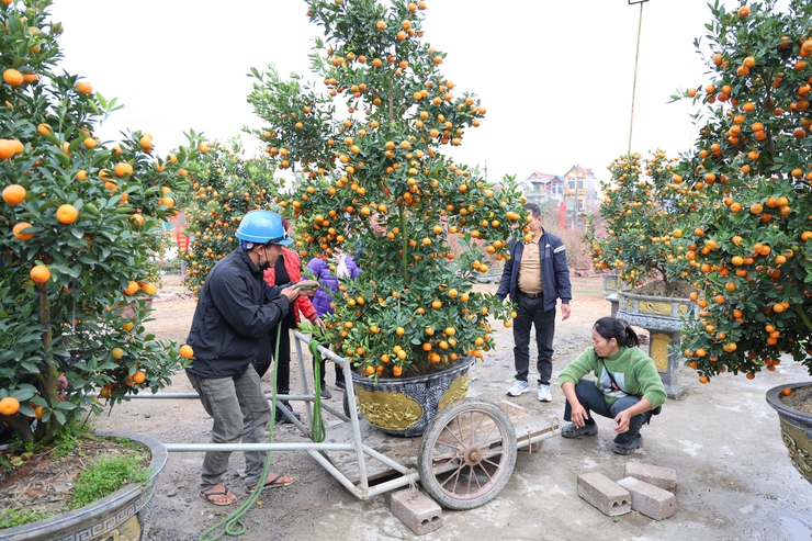 Phú Nghĩa triển khai nhiều giải pháp thúc đẩy phát triển kinh tế, văn hóa – xã hội- Ảnh 1.