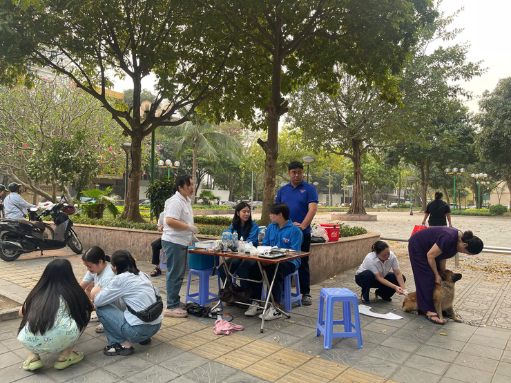 Phường Yên Hòa triển khai tiêm phòng vắc xin Dại cho đàn chó, mèo trên địa bàn phường - Ảnh 1.