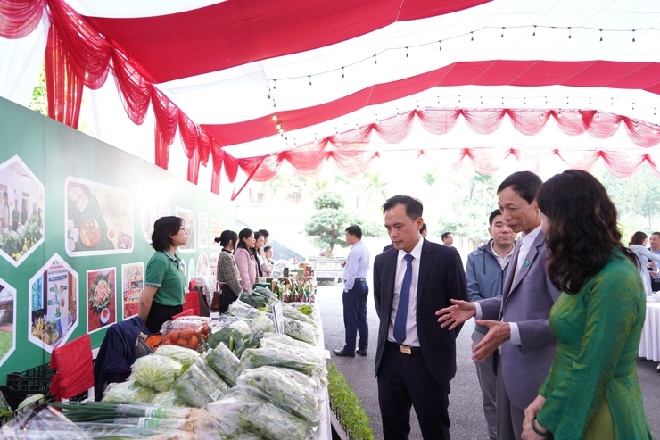 Hiệu quả hoạt động của HTX Rau quả sạch Chúc Sơn khi tham gia Chương trình “Hợp tác xã liên kết với hộ nông dân để phát triển kinh tế và thoát nghèo bền vững”- Ảnh 6.