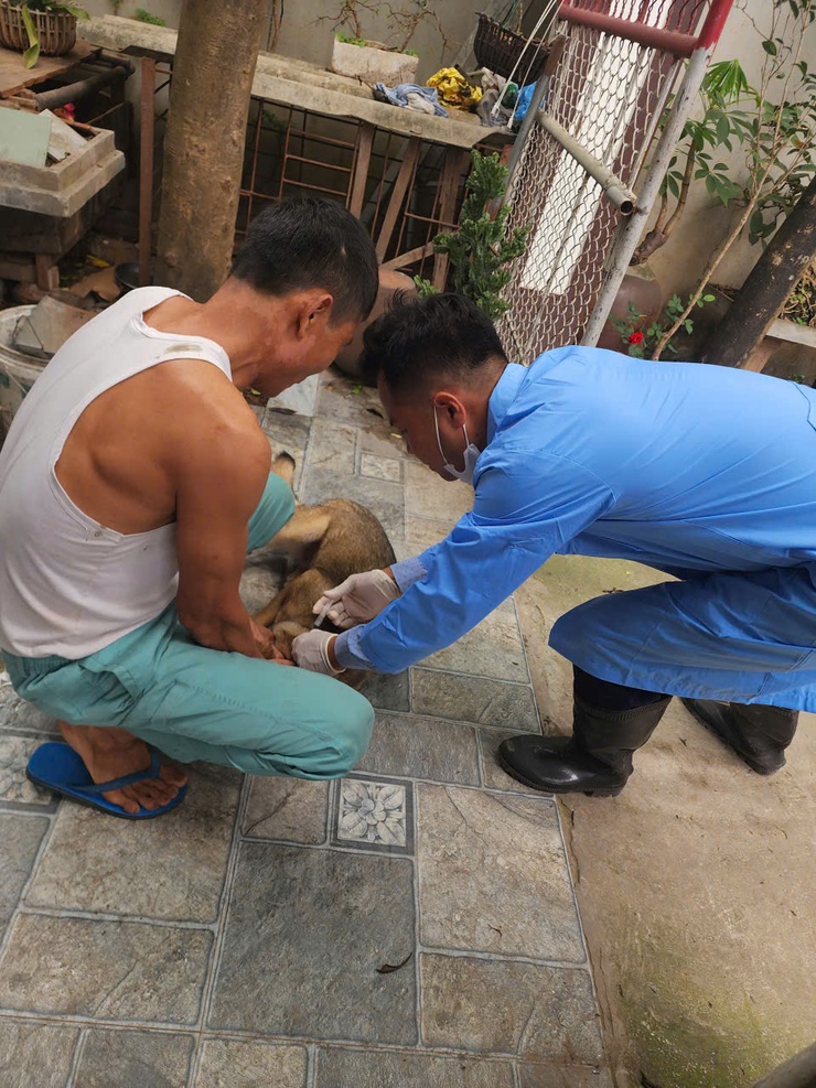 BÀI TUYÊN TRUYỀN CÔNG TÁC TIÊM PHÒNG CHO ĐÀN GIA SÚC, GIA CẦM- Ảnh 3.