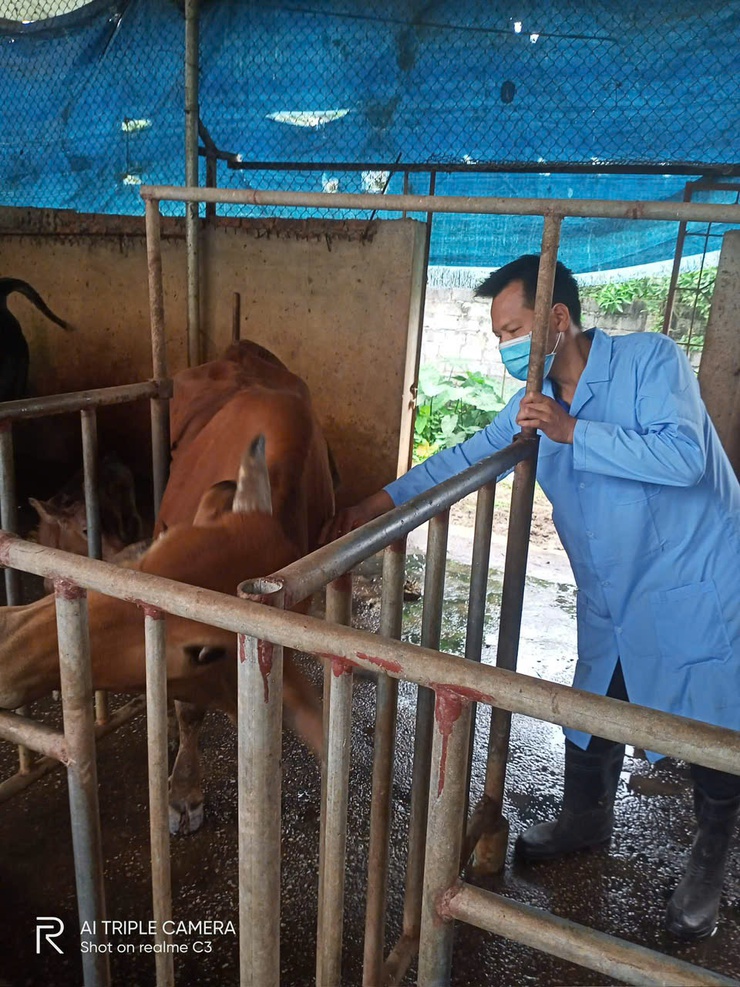 BÀI TUYÊN TRUYỀN CÔNG TÁC TIÊM PHÒNG CHO ĐÀN GIA SÚC, GIA CẦM- Ảnh 2.