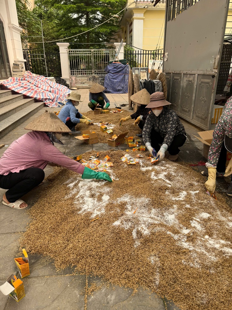 Xã Tây Phương triển khai chiến dịch diệt chuột bảo vệ sản xuất vụ Xuân 2026- Ảnh 1.