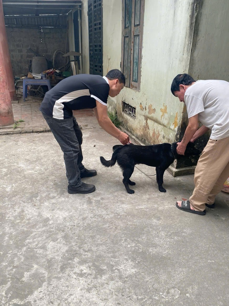 Xã Chương Dương - Triển khai tiêm phòng miễn phí vắc xin bệnh Dại đợt I năm 2026
- Ảnh 2.