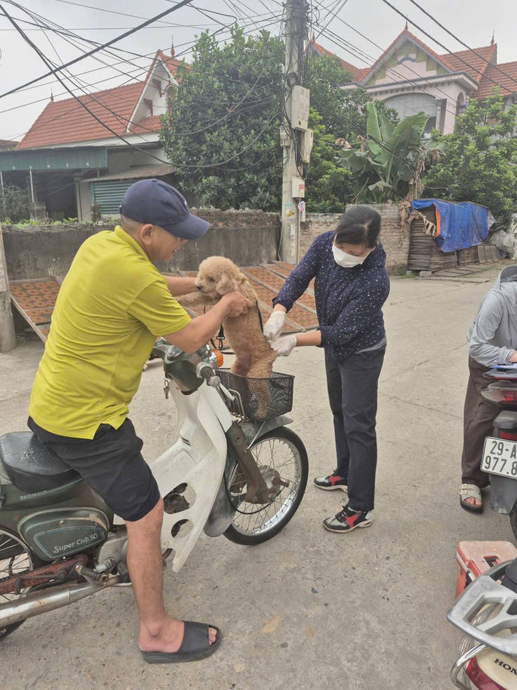 Xã Chương Dương - Triển khai tiêm phòng miễn phí vắc xin bệnh Dại đợt I năm 2026
- Ảnh 1.