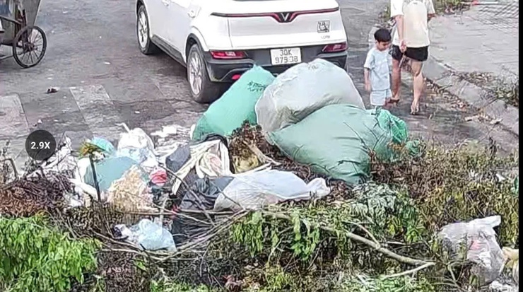 Tình trạng đổ rác, đốt rác bừa bãi vẫn diễn ra trên địa bàn xã Thư Lâm- Ảnh 1.