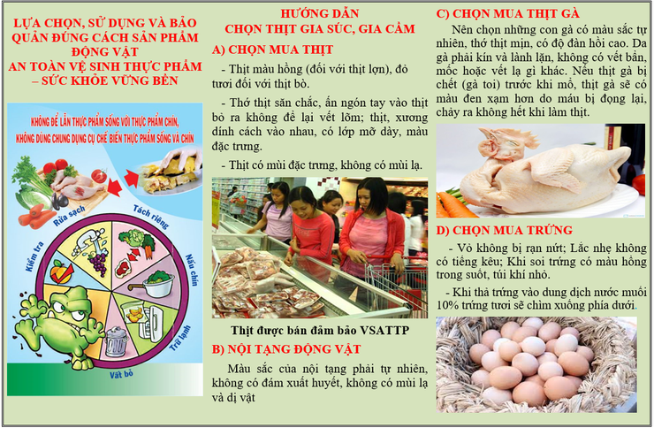 Hướng dẫn người dân cách lựa chọn và bảo quản thực phẩm động vật an toàn, đảm bảo sức khỏe.- Ảnh 1.
