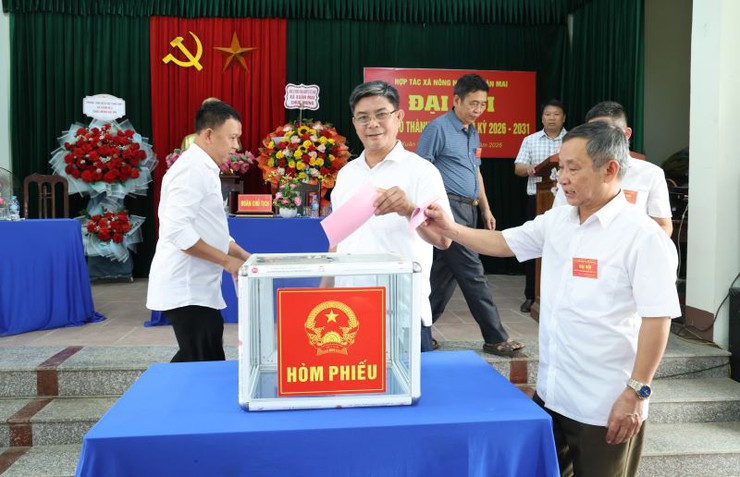 HTX nông nghiệp Xuân Mai tổ chức thành công đại hội đại biểu thành viên nhiệm kỳ 2026-2031- Ảnh 6.