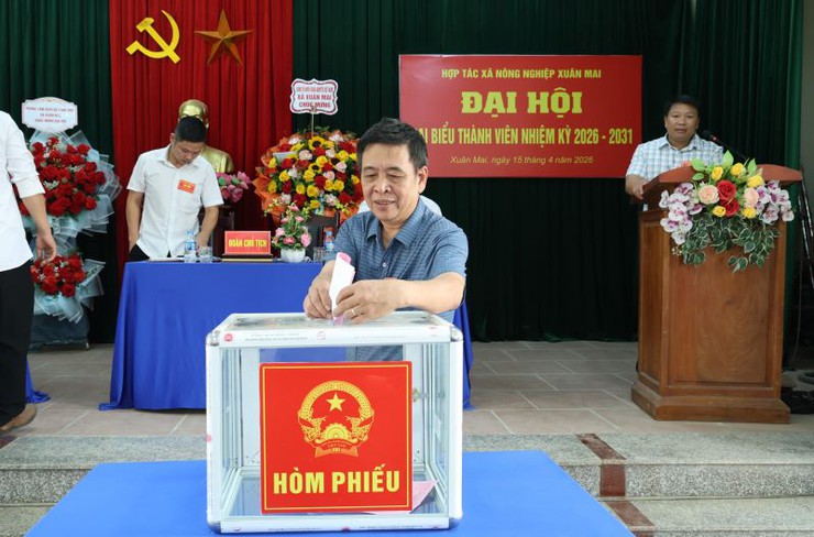 HTX nông nghiệp Xuân Mai tổ chức thành công đại hội đại biểu thành viên nhiệm kỳ 2026-2031- Ảnh 8.