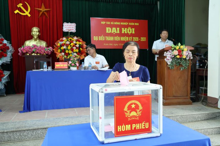HTX nông nghiệp Xuân Mai tổ chức thành công đại hội đại biểu thành viên nhiệm kỳ 2026-2031- Ảnh 7.