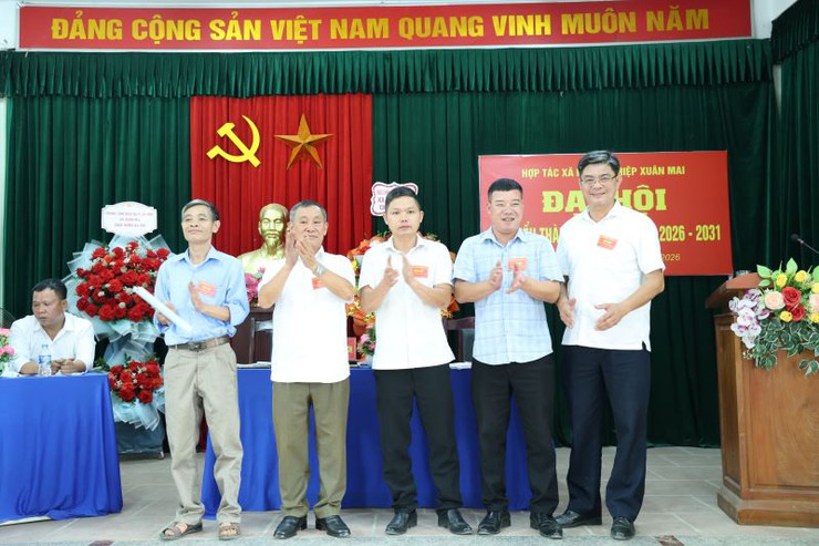 HTX nông nghiệp Xuân Mai tổ chức thành công đại hội đại biểu thành viên nhiệm kỳ 2026-2031- Ảnh 9.