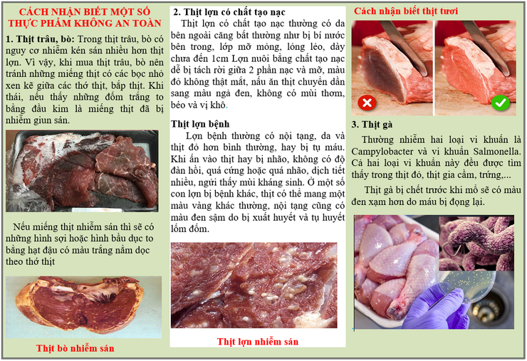 Hướng dẫn người dân cách lựa chọn và bảo quản thực phẩm động vật an toàn, đảm bảo sức khỏe.- Ảnh 2.
