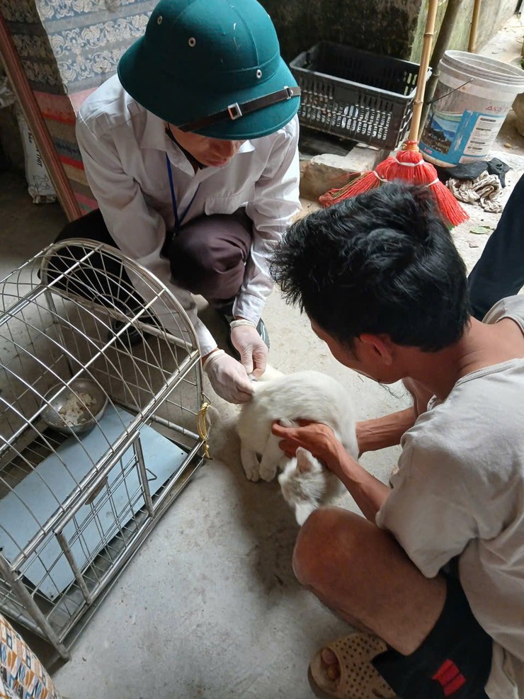ĐẨY NHANH TIẾN ĐỘ TIÊM PHÒNG VẮC XIN DẠI CHO ĐÀN CHÓ, MÈO TRÊN ĐỊA BÀN XÃ THANH OAI- Ảnh 3.