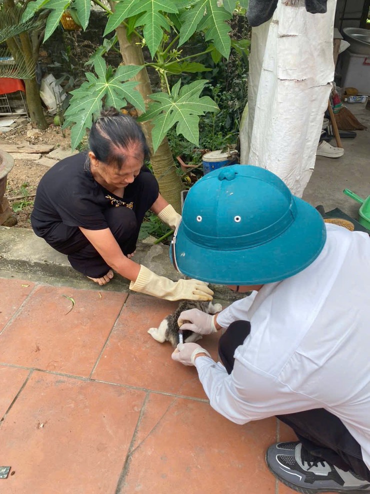 ĐẨY NHANH TIẾN ĐỘ TIÊM PHÒNG VẮC XIN DẠI CHO ĐÀN CHÓ, MÈO TRÊN ĐỊA BÀN XÃ THANH OAI- Ảnh 4.