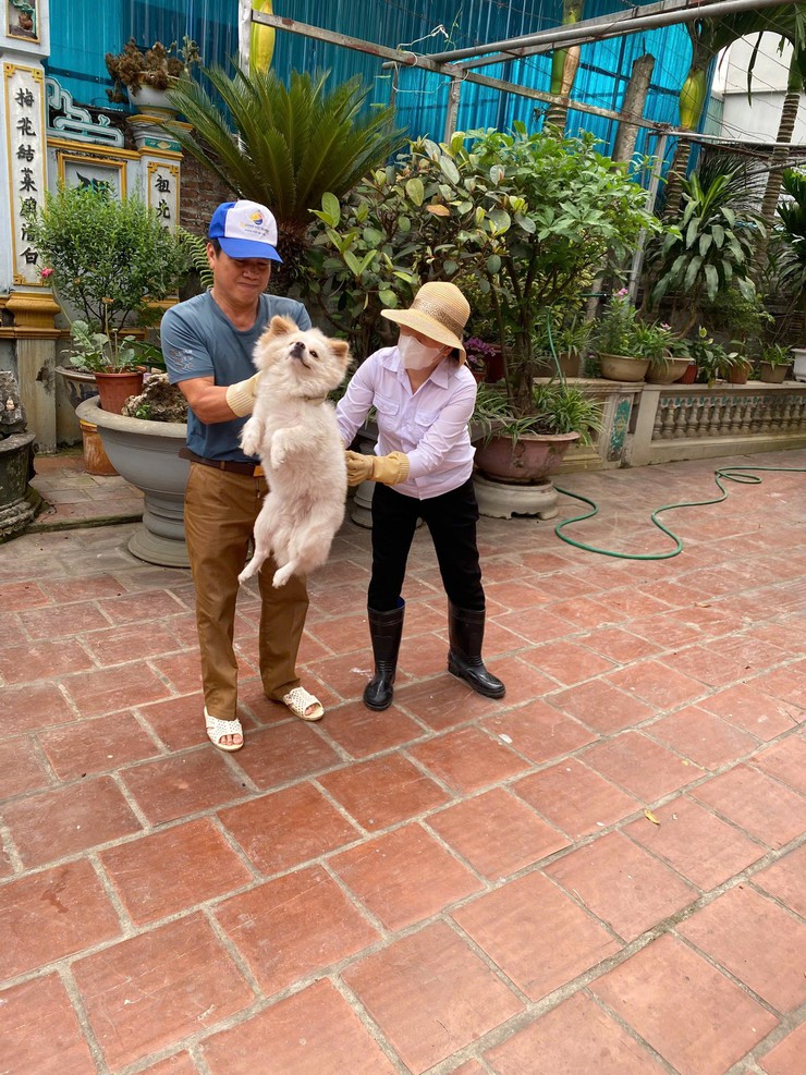 ĐẨY NHANH TIẾN ĐỘ TIÊM PHÒNG VẮC XIN DẠI CHO ĐÀN CHÓ, MÈO TRÊN ĐỊA BÀN XÃ THANH OAI- Ảnh 5.