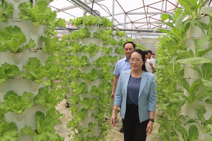 Hội Nông dân thành phố Hà Nội làm việc với Hội Nông dân xã Phú Xuyên- Ảnh 9.