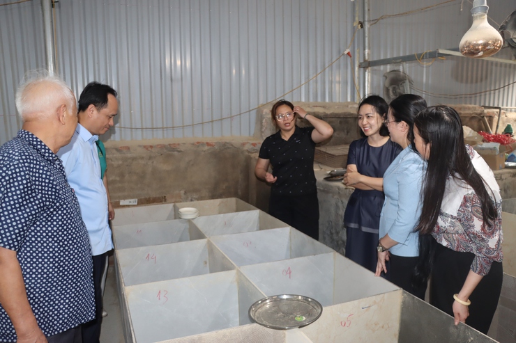 Hội Nông dân thành phố Hà Nội làm việc với Hội Nông dân xã Phú Xuyên- Ảnh 10.