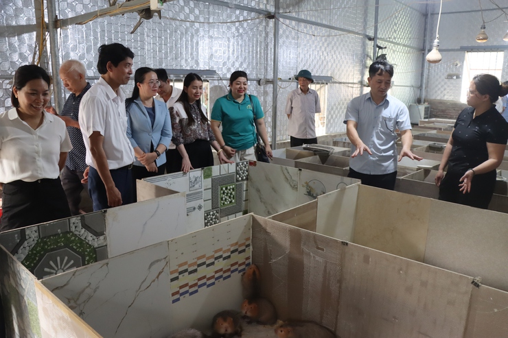 Hội Nông dân thành phố Hà Nội làm việc với Hội Nông dân xã Phú Xuyên- Ảnh 11.