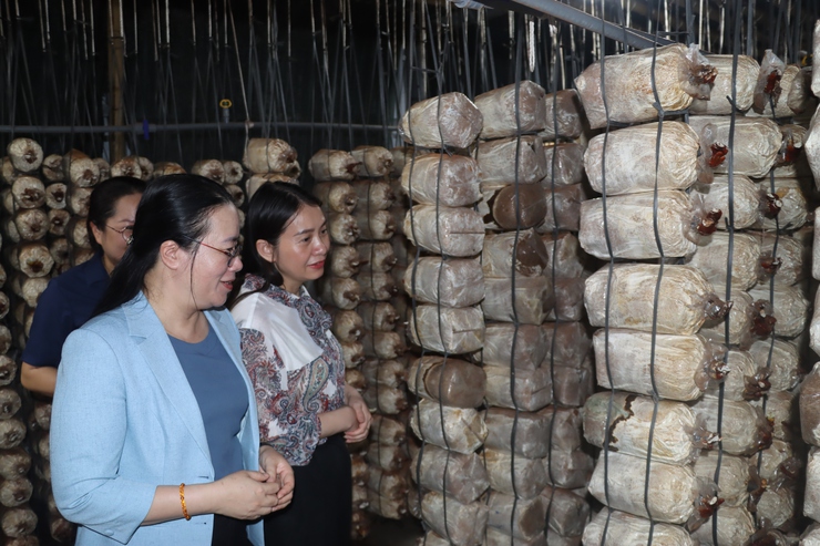 Hội Nông dân thành phố Hà Nội làm việc với Hội Nông dân xã Phú Xuyên- Ảnh 13.