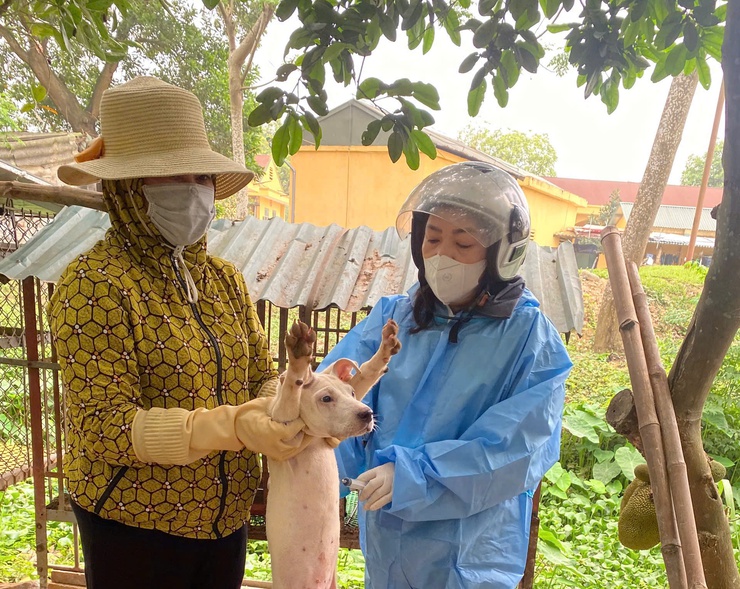 ĐẨY NHANH TIẾN ĐỘ TIÊM PHÒNG VẮC XIN DẠI CHO ĐÀN CHÓ, MÈO TRÊN ĐỊA BÀN XÃ THANH OAI- Ảnh 1.