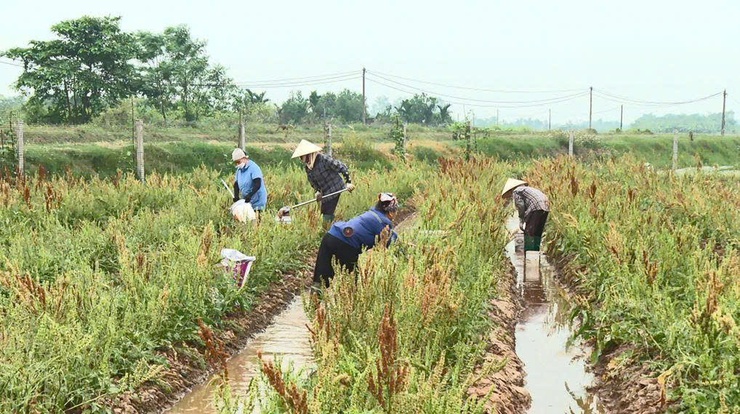  Hội Nông dân xã tổ sơ kết đánh giá công tác quý I- Ảnh 8.