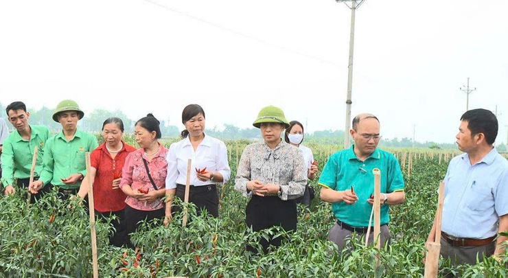  Hội Nông dân xã tổ sơ kết đánh giá công tác quý I- Ảnh 9.