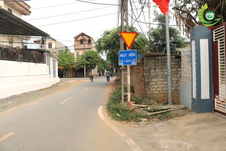 Tổ chức kiểm đếm bắt buộc thửa đất phục vụ dự án giao thông tại Phú Cát- Ảnh 1.