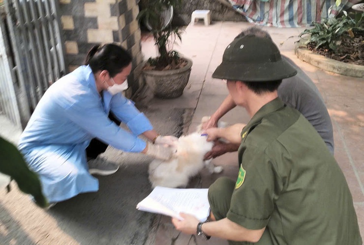 Một số biện pháp phòng bệnh Dại động vật - Ảnh 1.