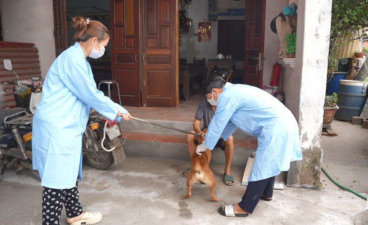 Triển khai quyết liệt chiến dịch tiêm vaccine phòng Dại cho đàn chó, mèo nhằm bảo vệ sức khoẻ cộng đồng - Ảnh 2.
