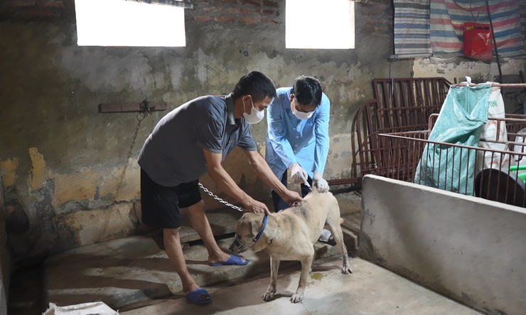 Triển khai quyết liệt chiến dịch tiêm vaccine phòng Dại cho đàn chó, mèo nhằm bảo vệ sức khoẻ cộng đồng - Ảnh 4.