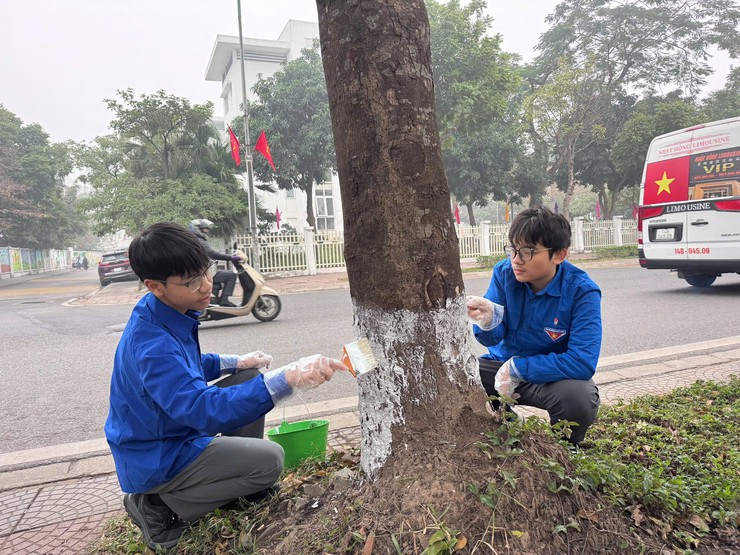 Phát huy vai trò đoàn viên thanh niên trong tham gia giữ gìn trật tự đô thị, vệ sinh môi trường tại các tuyến phố trên địa bàn phường- Ảnh 4.