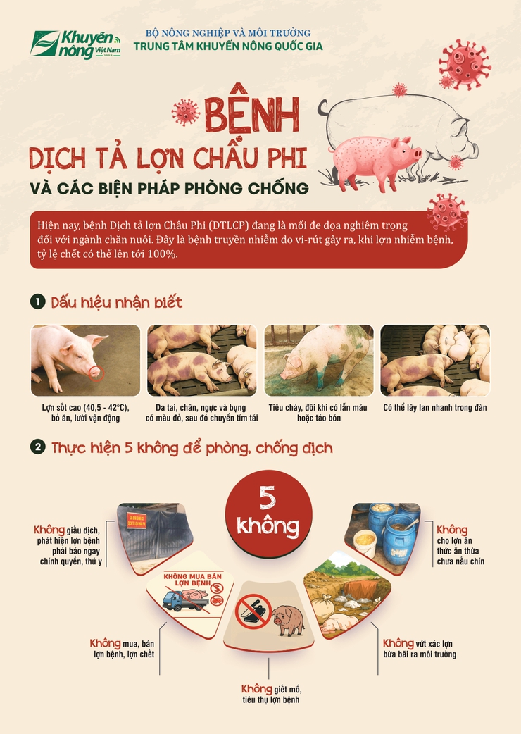 Chủ động phòng, chống bệnh Dịch tả lợn Châu Phi- Ảnh 1.