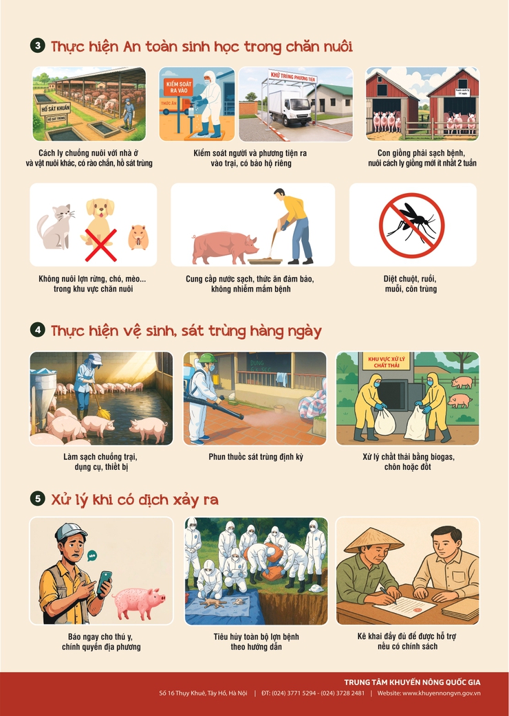 Chủ động phòng, chống bệnh Dịch tả lợn Châu Phi- Ảnh 2.