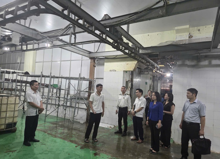 Kiểm tra công tác giết mổ, vệ sinh thú y tại Công ty TNHH Minh Hiền; Công ty cổ phần nông nghiệp BAF Việt Nam; bữa ăn bán trú tại trường tiểu học Thanh Cao- Ảnh 3.