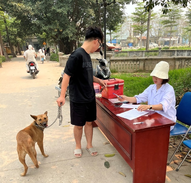 QUỐC OAI ĐẨY MẠNH TIÊM PHÒNG VẮC XIN DẠI CHO ĐÀN CHÓ, MÈO NĂM 2026- Ảnh 1.