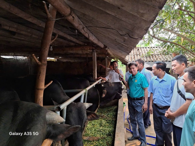 Tham quan mô hình kinh tế tiêu biểu – tìm hướng đi mới cho nông dân phường Tùng Thiện- Ảnh 2.