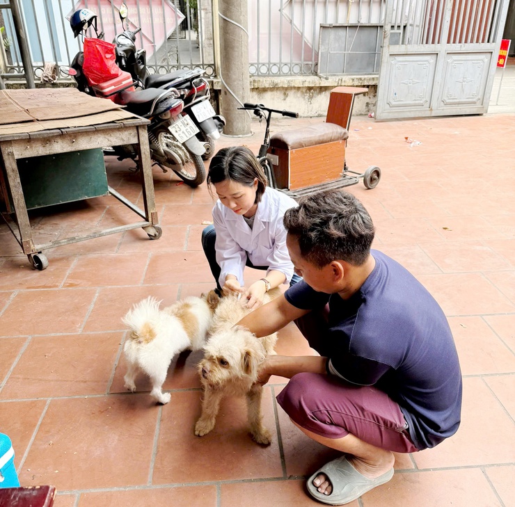 QUỐC OAI ĐẨY MẠNH TIÊM PHÒNG VẮC XIN DẠI CHO ĐÀN CHÓ, MÈO NĂM 2026- Ảnh 2.