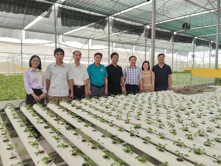 Tham quan mô hình kinh tế tiêu biểu – tìm hướng đi mới cho nông dân phường Tùng Thiện- Ảnh 1.