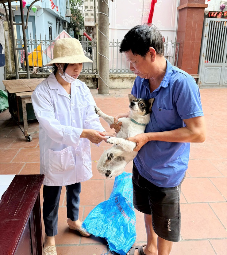 QUỐC OAI ĐẨY MẠNH TIÊM PHÒNG VẮC XIN DẠI CHO ĐÀN CHÓ, MÈO NĂM 2026- Ảnh 3.