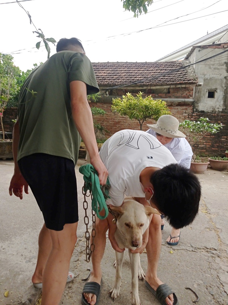 QUỐC OAI ĐẨY MẠNH TIÊM PHÒNG VẮC XIN DẠI CHO ĐÀN CHÓ, MÈO NĂM 2026- Ảnh 5.