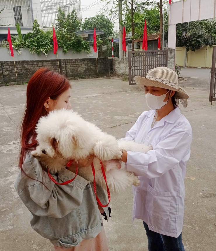 QUỐC OAI ĐẨY MẠNH TIÊM PHÒNG VẮC XIN DẠI CHO ĐÀN CHÓ, MÈO NĂM 2026- Ảnh 6.