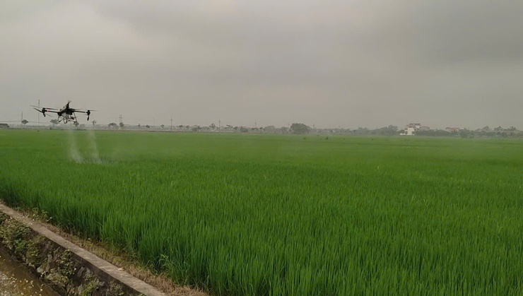 Chính sách hỗ trợ cơ giới hóa trong sản xuất nông nghiệp theo Nghị quyết số 53/2025/NQ-HĐND- Ảnh 2.