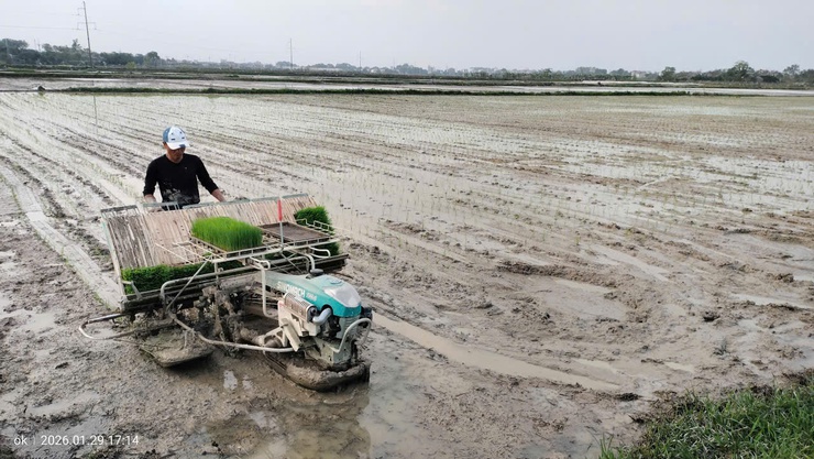 Chính sách hỗ trợ cơ giới hóa trong sản xuất nông nghiệp theo Nghị quyết số 53/2025/NQ-HĐND- Ảnh 3.