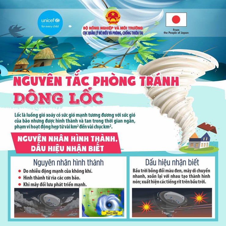 CHUYÊN MỤC: MỖI NGÀY MỘT KỸ NĂNG PHÒNG CHỐNG THIÊN TAI
DÔNG LỐC VÀ NHỮNG VIỆC CẦN LÀM ĐỂ ĐẢM AN TOÀN?- Ảnh 1.